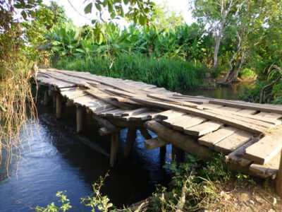 Tanzania Kokoa Kamili BIO 1kg surowe ziarna kakaowca - obrazek 9