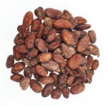 Surowe ziarna kakaowca Wenezuela Sur del Lago