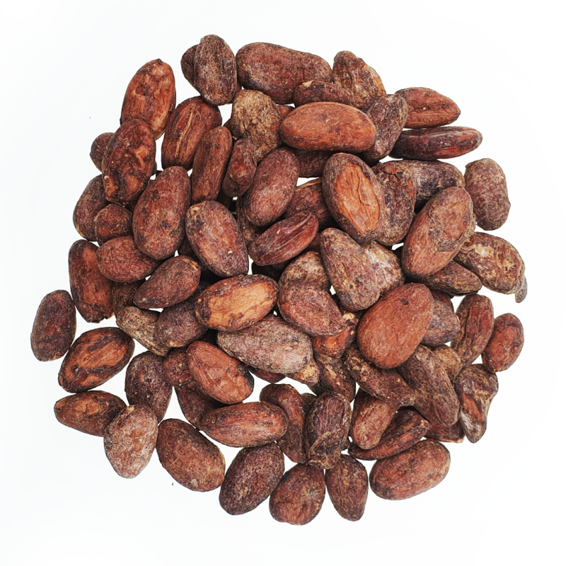 Surowe ziarna kakaowca Wenezuela Sur del Lago