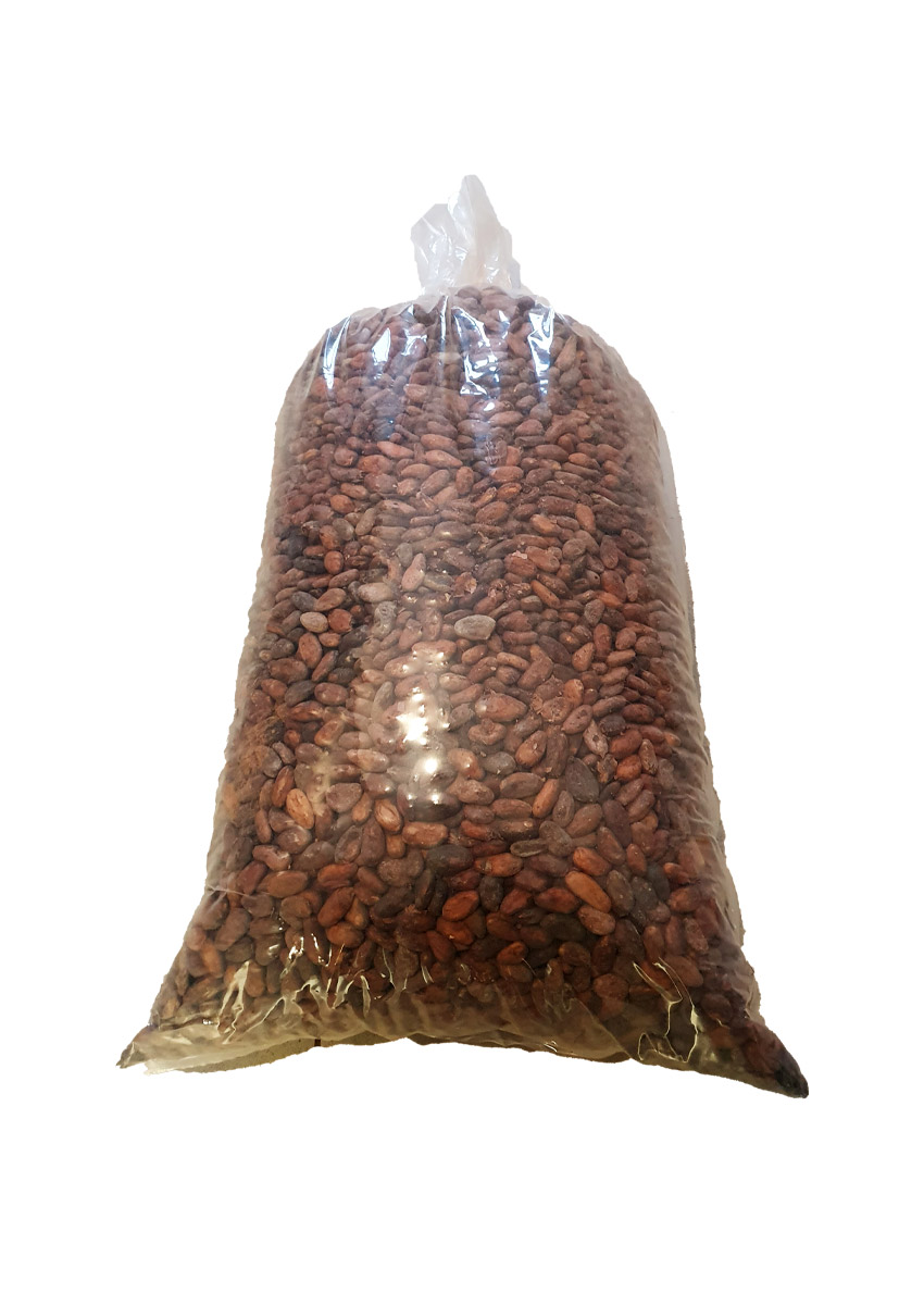 Surowe ziarno kakaowca 15kg
